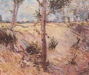 Vincent Van Gogh Trees in a Field on a Sunny Day (nn04) china oil painting artist